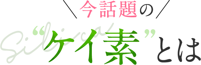 今話題のケイ素とは